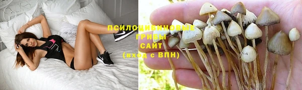 стафф Сосновоборск