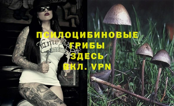 альфа пвп Сосновый Бор