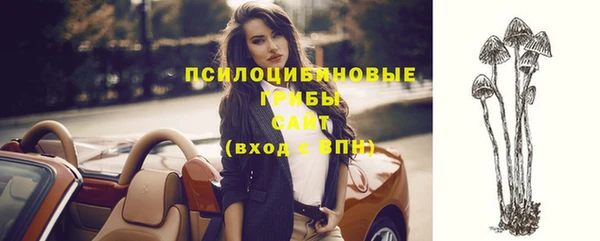 стафф Сосновоборск