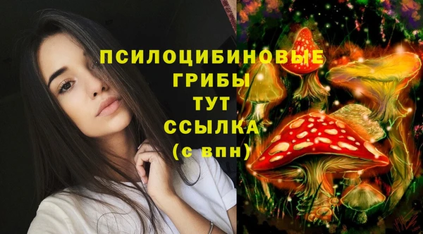 альфа пвп Сосновый Бор