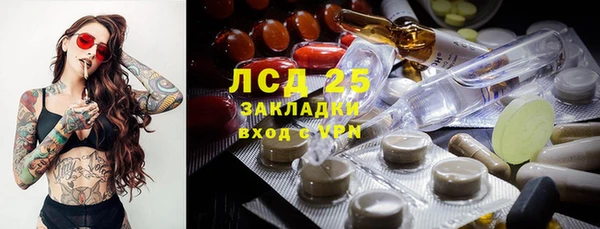 стафф Сосновоборск